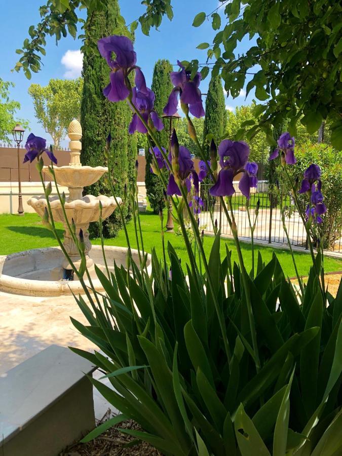 Villa Agrippa オランジュ エクステリア 写真
